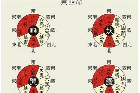 東四命對照表|东四命西四命速查表 命卦对照表